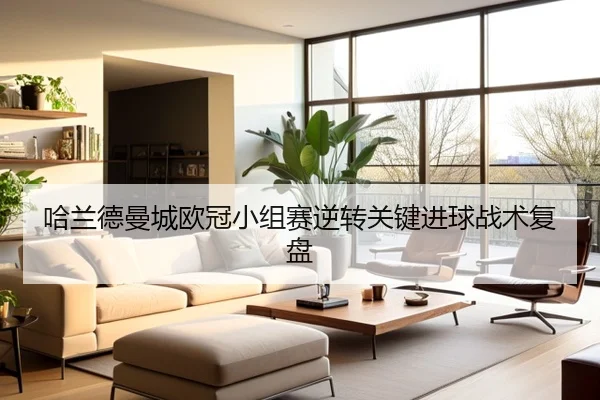 哈兰德曼城欧冠小组赛逆转关键进球战术复盘 | feifansports